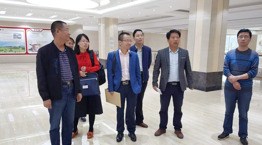 首页| CA88集团中国唯一官方网站