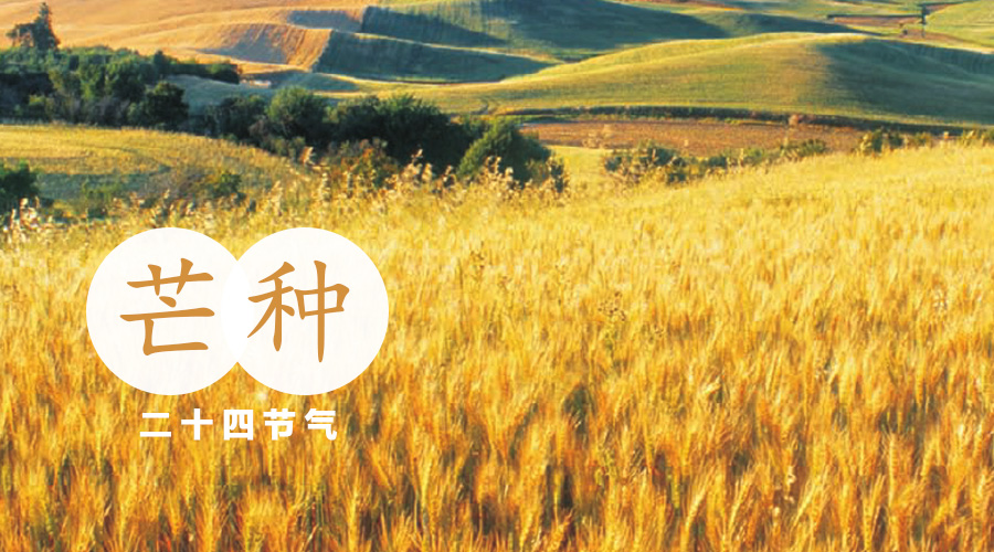 首页| CA88集团中国唯一官方网站