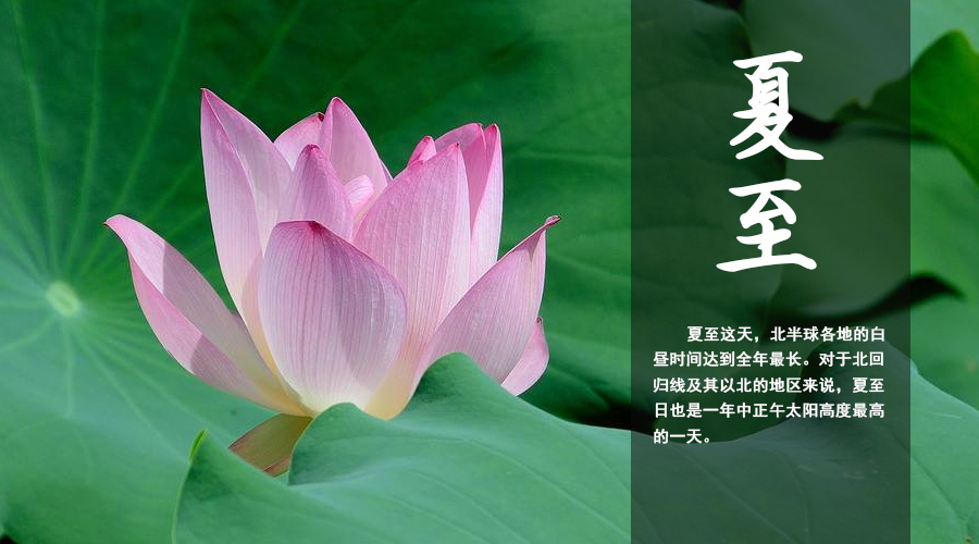 首页| CA88集团中国唯一官方网站