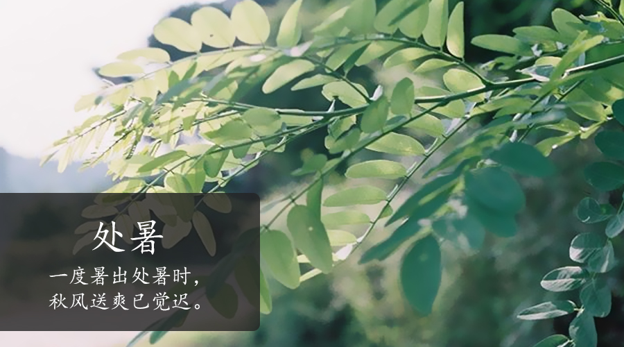 首页| CA88集团中国唯一官方网站