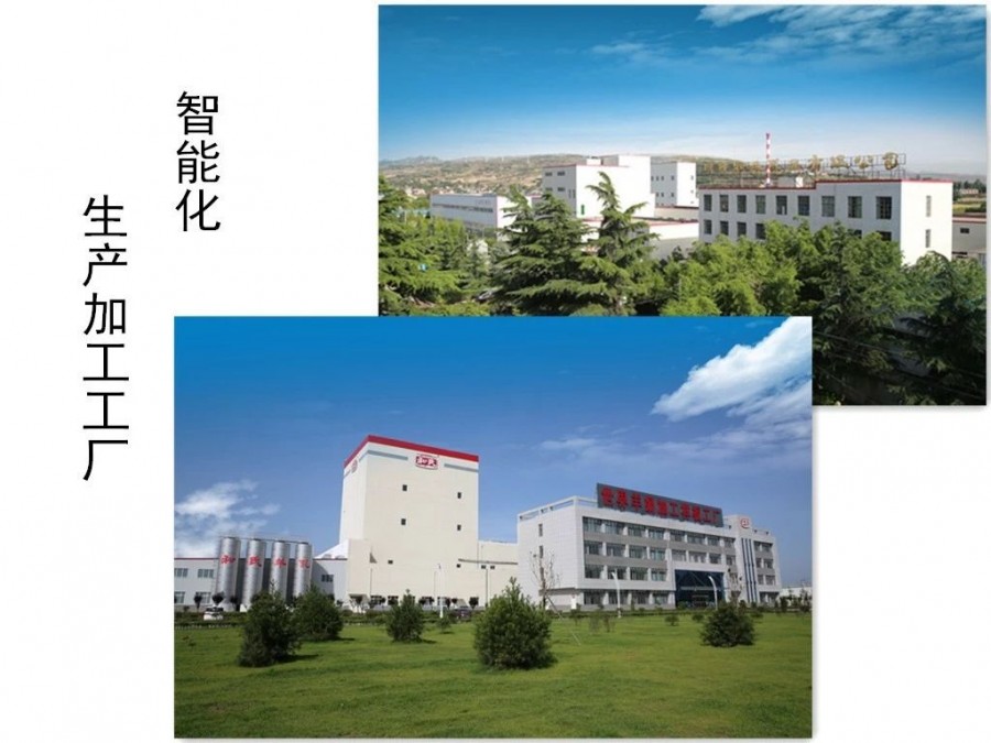 首页| CA88集团中国唯一官方网站