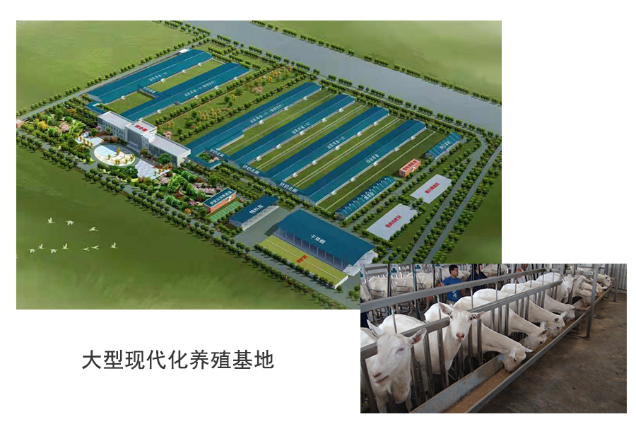 首页| CA88集团中国唯一官方网站