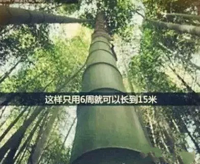 首页| CA88集团中国唯一官方网站